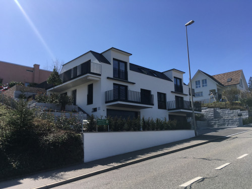 Ersatzneubau DEFH Oetwil am See – Aus 1 mach 2