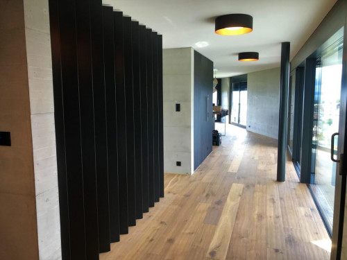 Neubau Einfamilienhaus, Rorschacherberg – Statik sichtbar gemacht