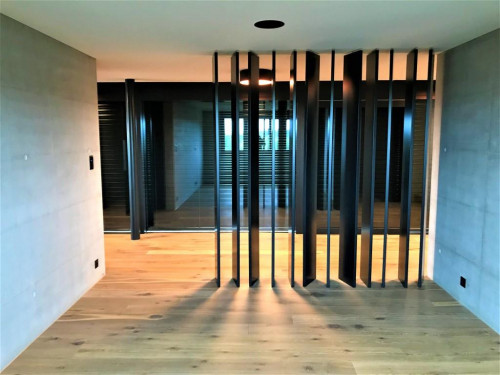 Neubau Einfamilienhaus, Rorschacherberg – Statik sichtbar gemacht